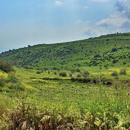 فيلا ليفنيمفي ليك أوف ليغندز المظهر الخارجي الصورة